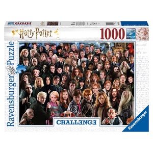Harry Potter Challenge Jigsaw Puzzle (149889 | 1000 pieces